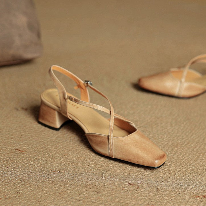 Brown#Brown_5