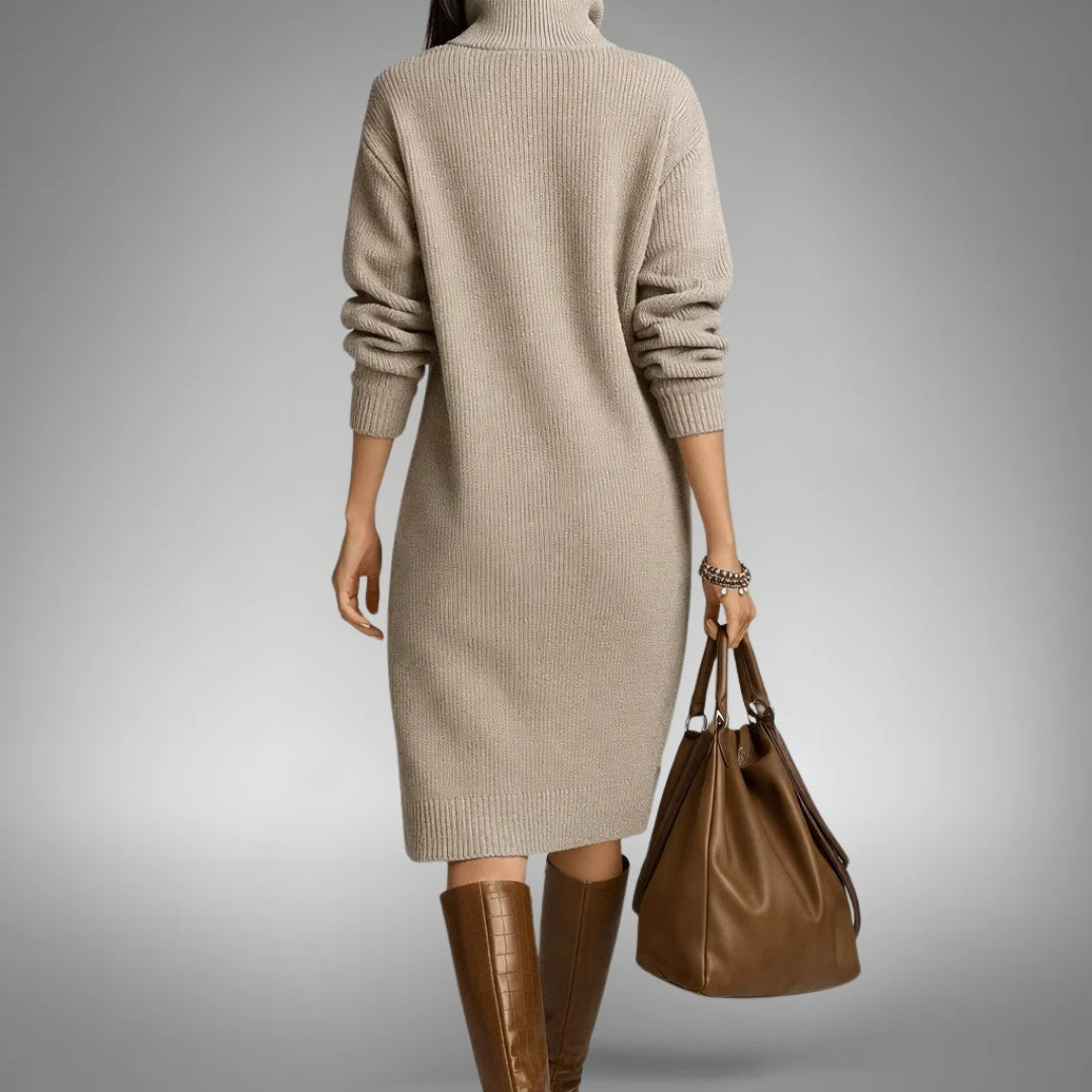 Adeline Button-Collar Sweater Dress in Beige - back view
