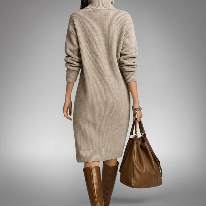 Adeline Button-Collar Sweater Dress in Beige - back view