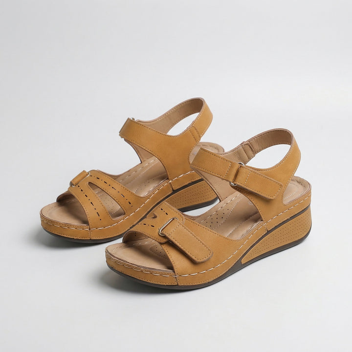 Brown#Brown_1