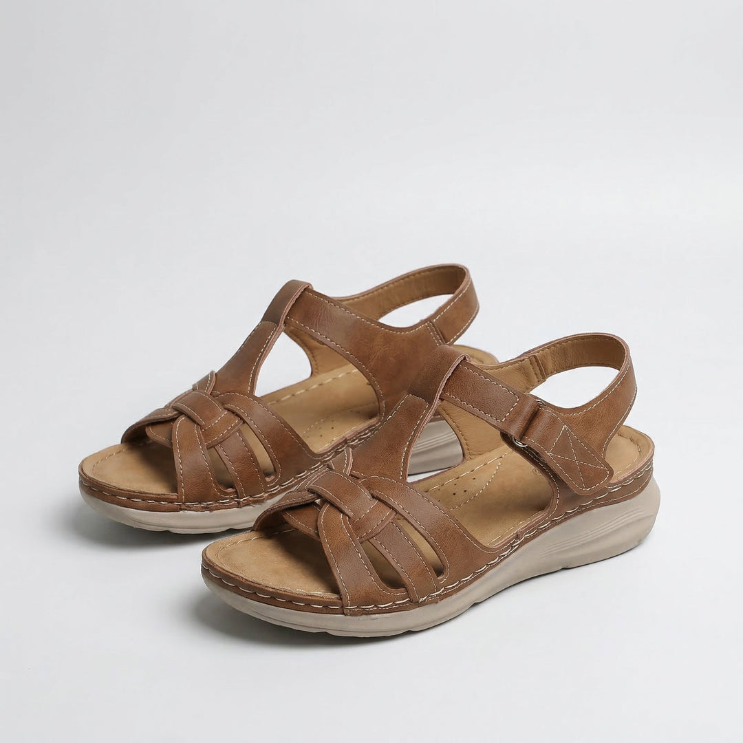 Brown#Brown_1