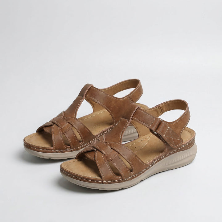 Brown#Brown_1