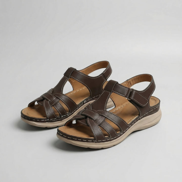 Dark Brown#Dark Brown_1