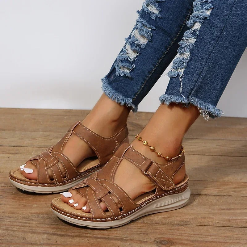 Brown#Brown_2