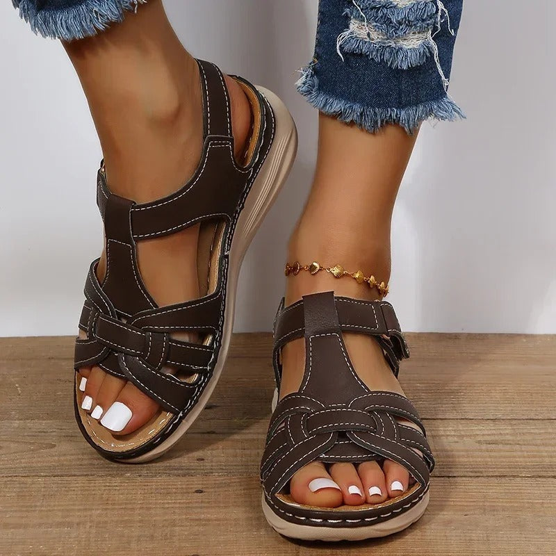 Dark Brown#Dark Brown_2